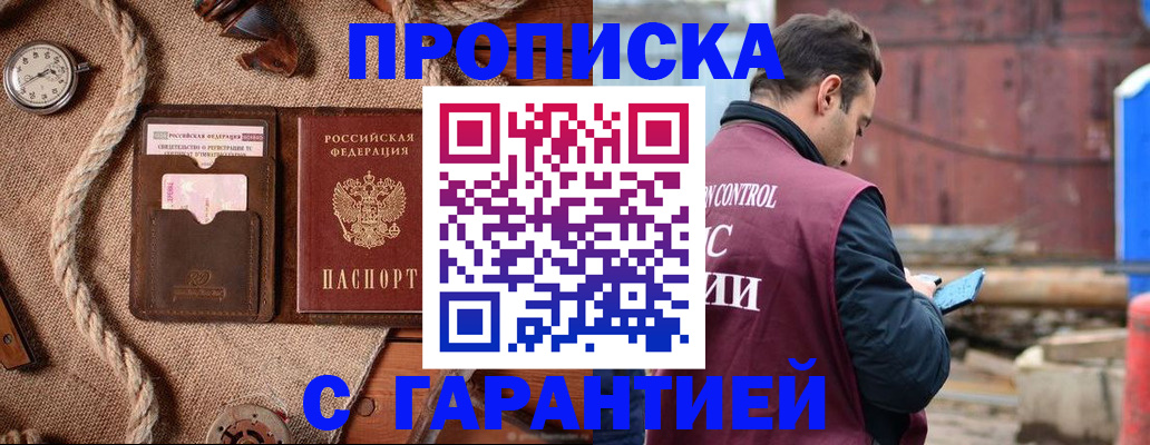 прописка поиск в Купино